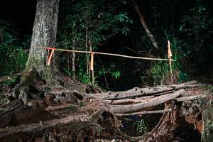 BIB: 
                            <button type="button" onclick="openModal(27356756)" class="btn btn-primary btn-sm float-right btn-popup" data-toggle="modal" data-target=".modal-high-quality">
                        <i class="fas fa-shopping-cart"></i> Add to Cart
                    </button>
                                            <button type="button" onclick="isThisMe(27356756, true)" class="btn btn-success btn-sm float-right btn-popup btn-isme hidden" data-toggle="tooltip" data-placement="bottom" title="นี่คือรูปของคุณใช่ไหม คลิกที่นี่เพื่อเอาเข้าอัลบั้ม">
                        <i class="fas fa-plus"></i> Add to album
                    </button>
                    <button type="button" onclick="isThisMe(27356756, false)" class="btn btn-warning btn-sm float-right btn-popup btn-isnotme hidden">
                        <i class="fas fa-ban"></i> Remove from album
                    </button>